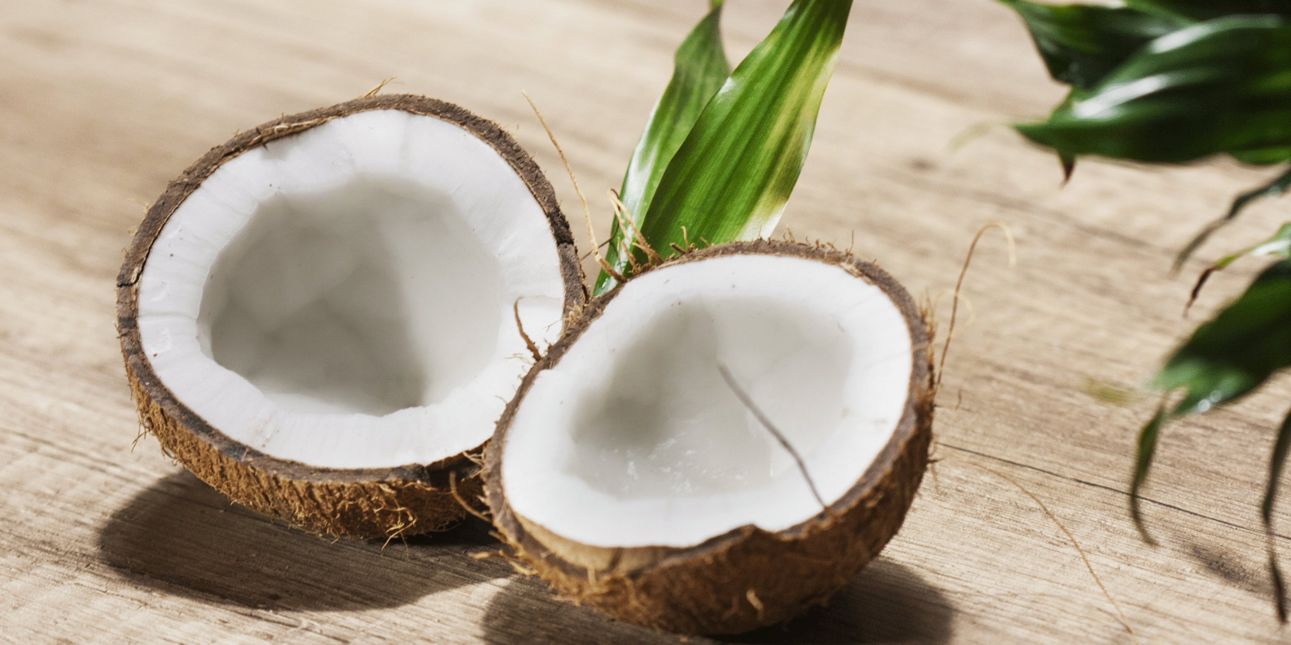 Emas Hijau untuk Kecantikan – Mengolah Kelapa Menjadi Produk Kosmetik Premium