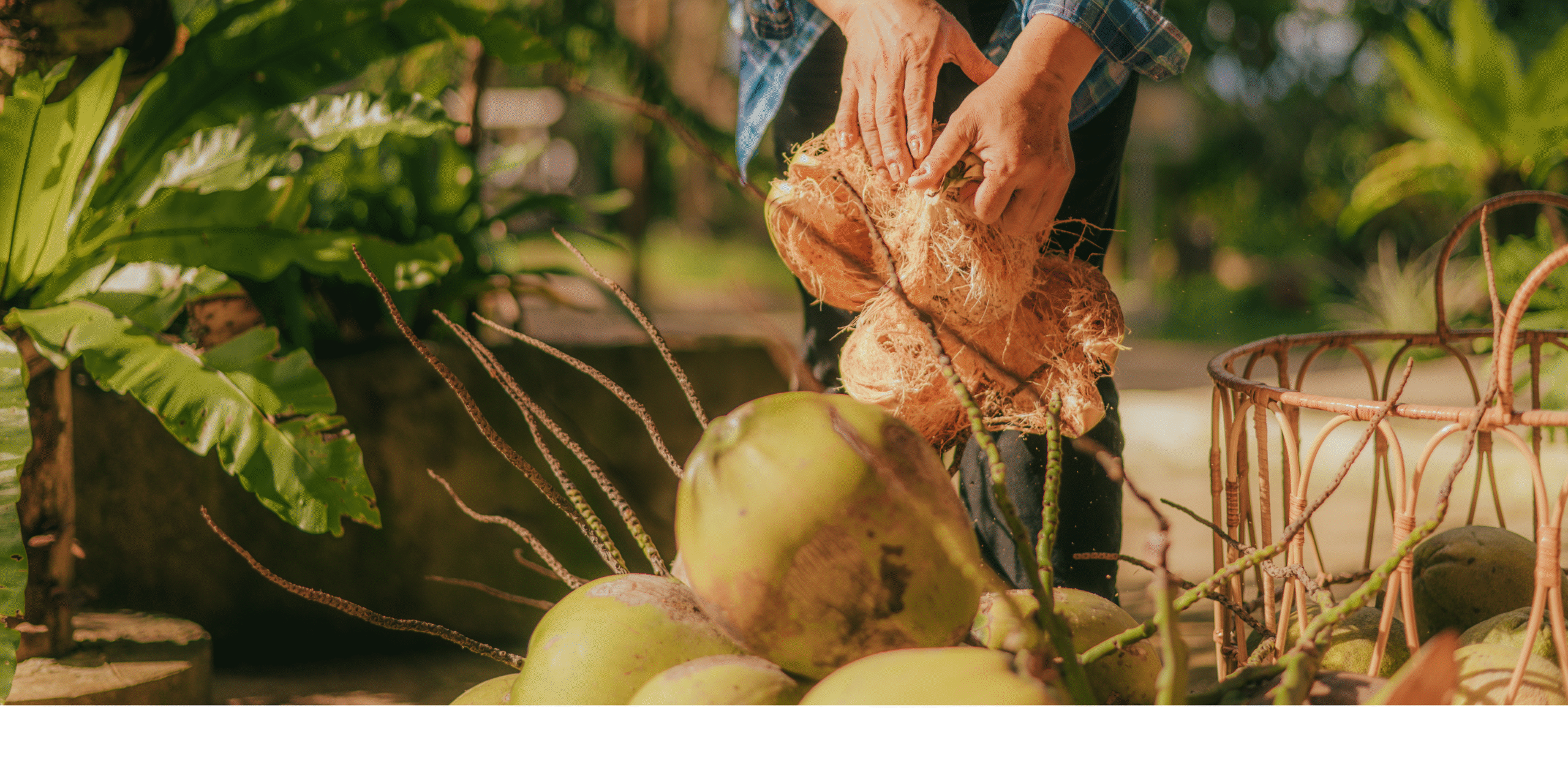 Pemilihan Bahan Baku Berkualitas dan Resep-Resep Produk